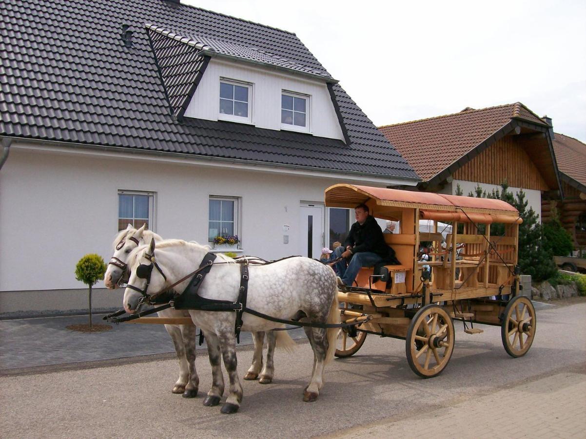 Bed and Breakfast Gastehaus „Haus Am Hahnenberg“ Marmagen Екстер'єр фото